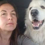 Pets provide comfort during crisis dog and owner