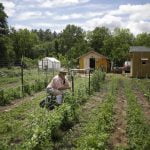 Southern states largely go it alone in reopening decisions