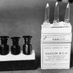 Could old vaccines for other germs protect against COVID-19?