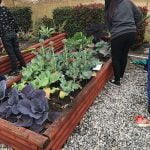 San Jacinto Unified’s Mountain View High honored as CA Green Ribbon School