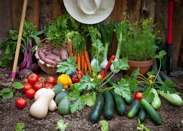 vegetables