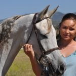 Heavenly Horse Haven horse finds new home