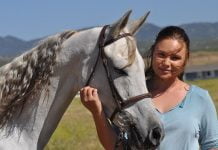 Heavenly Horse Haven horse finds new home