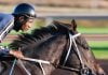 Del Mar racetrack proposes opening date of July 10