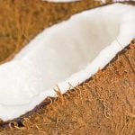 A guide to dairy alternatives coconut