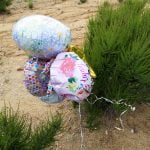 Mylar balloons and electrical wires make for a dangerous combination three balloons tied to a small tree