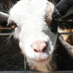 Local wellness center creates an alcove for healing and relaxation
