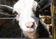 Local wellness center creates an alcove for healing and relaxation