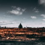 Controlled burn scheduled west of Murrieta on Tuesday