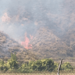 Fire chars 20 acres on Soboba Indian Reservation