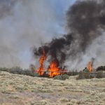 Pair of wildfires race through Anza fields, threaten home
