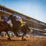 Filly euthanized after morning workout at Del Mar