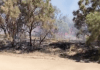 Second brush fire breaks out in Anza, burns two acres