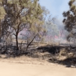 Second brush fire breaks out in Anza, burns two acres