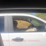 De Luz couple say man threatened them for flying a drone, claimed to be officer