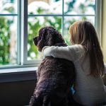 Nearly 1 in 4 California pet owners fear separation anxiety when they return to work, survey reveals