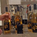 COVID-19 or no COVID-19 – the harvest season is coming