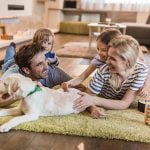 Bring a new pet home with these 5 tips