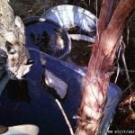 Local water hole attracts wildlife