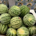 San Jacinto USD receives $50K grant through Albertsons’ Nourishing Neighbors Community Relief