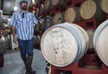 Cougar Vineyard & Winery wants ciliegiolo recognized in US