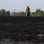 Small brush fire stopped near French Valley