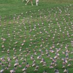 Veterans Day flag placement ceremony canceled