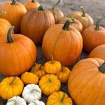 Temecula plans Halloween home decorating, costume contests, drive-in movie for Halloween