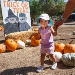Peltzer Pumpkin Farm opens for the fall season