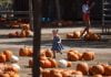 Pumpkin Fest featuring giant gourds, rides, wine tasting underway in Temecula