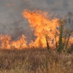 Blaze erupts north of Highway 74 in Homeland
