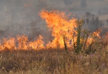 Blaze erupts north of Highway 74 in Homeland