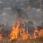 UPDATE: Controlled burn near Idyllwild canceled