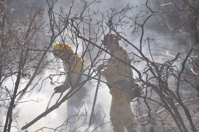10-16-20-ANZA-weather affects wildfire behavior-DSphoto-2