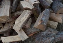 How to select firewood for the coming winter season
