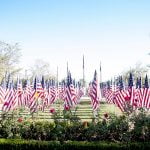 12th annual Murrieta Field of Honor in Town Square Park debuts Nov. 7