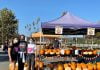 NCL Temecula Valley picks pumpkins for Outreach Farm Project