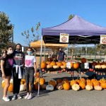 NCL Temecula Valley picks pumpkins for Outreach Farm Project