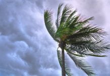 Another round of Santa Ana winds to whip Inland Empire