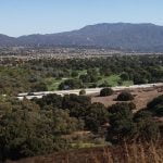 Altair Development settlement sets aside space for big cats