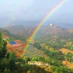 A picture is worth a thousand words