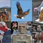 A year in review: 2020