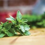 Fresh herbs can reduce your reliance on sodium