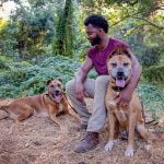 Pets can make your 2021 New Year’s resolutions stick