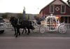 Murrieta residents take a carriage ride for Thanksgiving