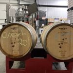 Cougar gets ciliegiolo recognized by TTB