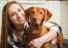 Find the right dog trainer for your family pet