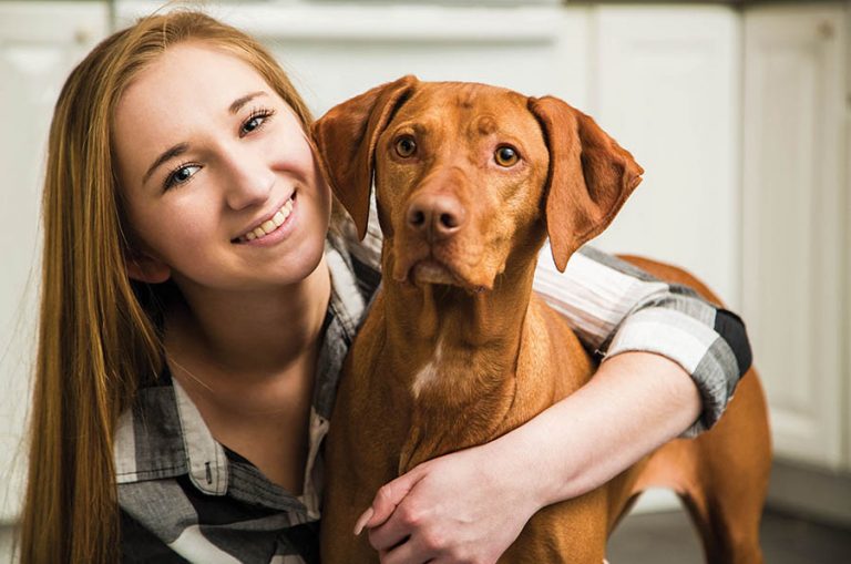 Find the right dog trainer for your family pet Valley News