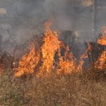 Cal Fire extinguishes fire in Temecula hills