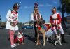 Love on a Leash visits Temecula Valley Hospital